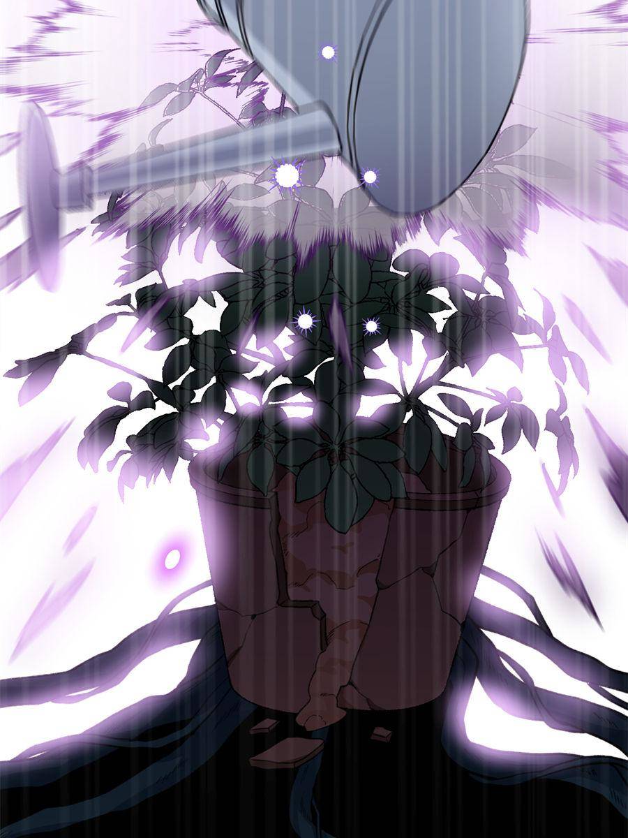 84700479 900 1200 122845